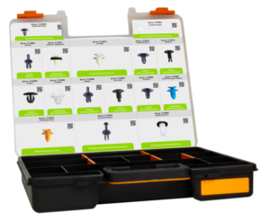 ASSORTIMENT CLIPS & PLUG - FIAT