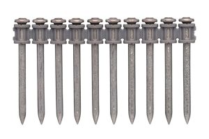 DN-52 STRIPNAGELS, T.B.V KRUITSCHIETHAME